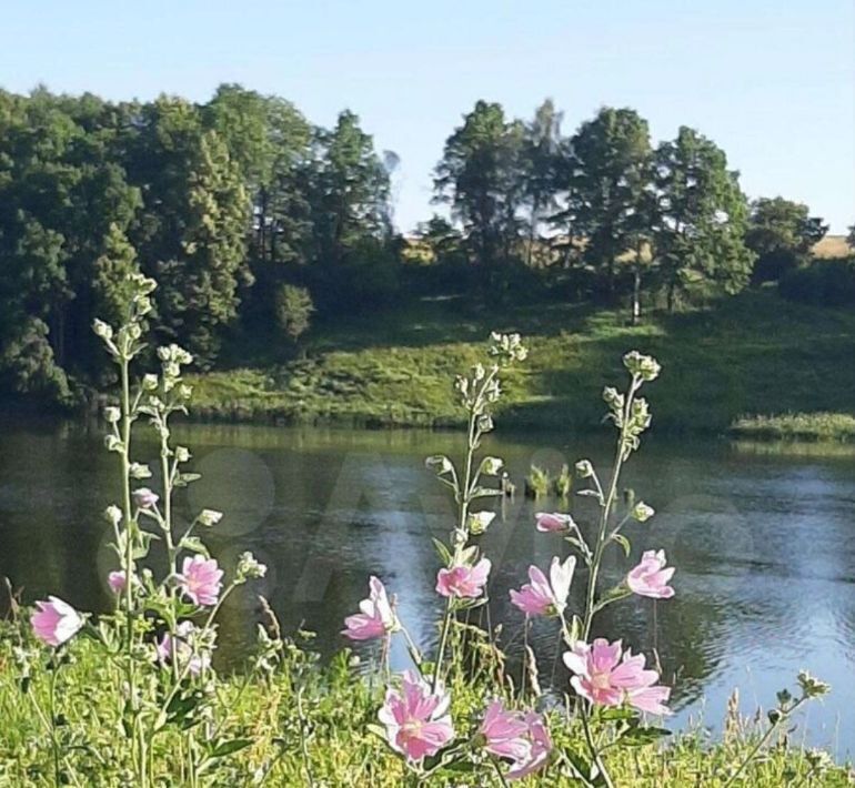 дом г Сергиев Посад снт Земледелец ул Озерная Кашира городской округ фото 30