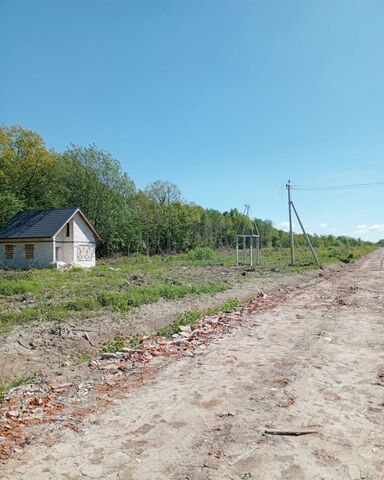 п Голубево Калининград фото