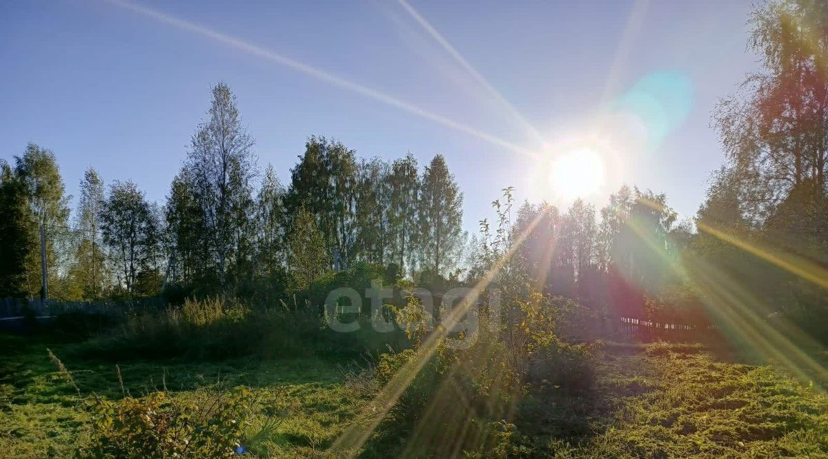 земля г Вологда Доронино 5, садоводческое товарищество фото 5