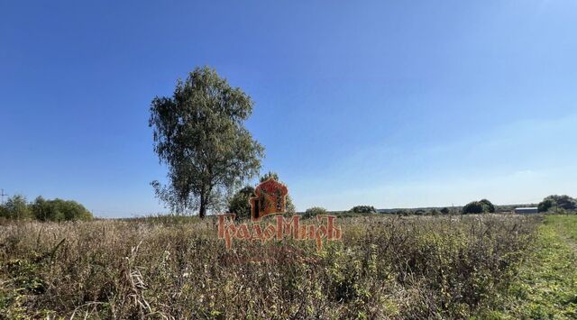 земля муниципальное образование, Андреевское фото