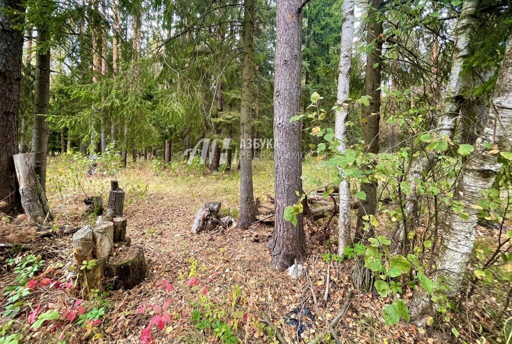 дом городской округ Пушкинский п Зеленоградский снт Связист фото 18