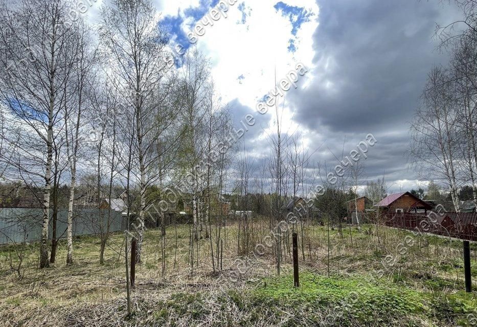 земля городской округ Одинцовский г Звенигород 29 км, Берёзовая аллея, д. Сальково, Ильинское шоссе фото 5