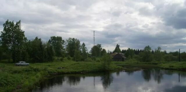 ул Новая Рабитицкое с/пос, Проспект Ветеранов фото