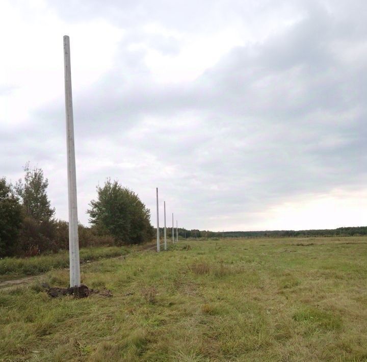 земля городской округ Орехово-Зуевский д Дровосеки фото 2