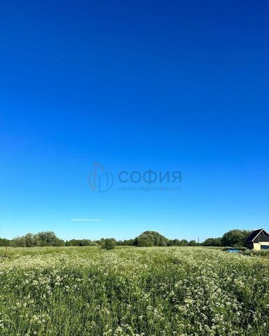 земля Архангельск, р-н Цигломенский фото