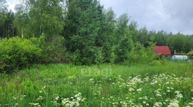 земля Виллозское городское поселение, Проспект Ветеранов, 5-я линия, 208, Ломоносовский район фото