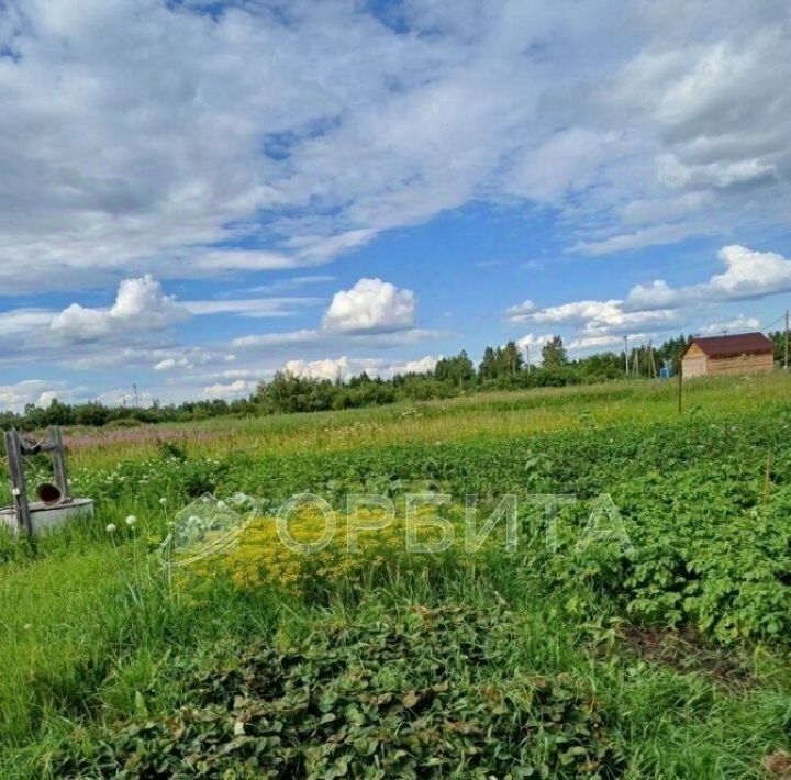 земля г Тюмень р-н Центральный снт Большое Царево-2 фото 2