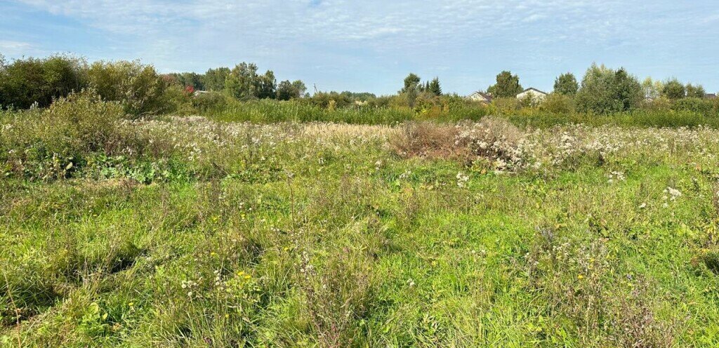 земля р-н Пестречинский с Гильдеево ул Казанская Богородское сельское поселение, Проспект Победы фото 1