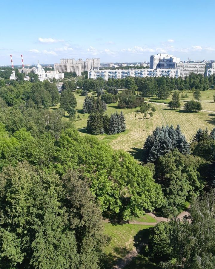 квартира г Санкт-Петербург метро Площадь Мужества ул Бестужевская 33к/2 фото 5