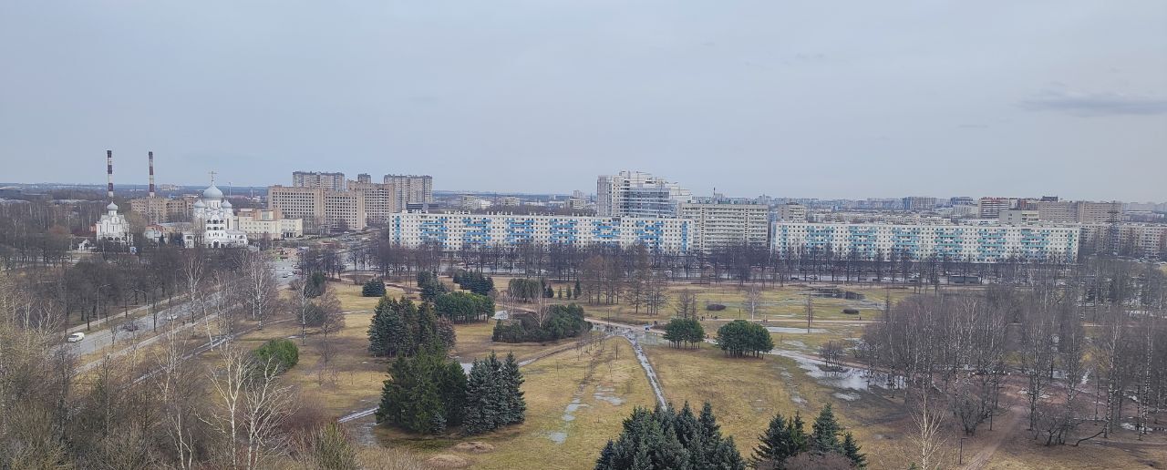 квартира г Санкт-Петербург метро Площадь Мужества ул Бестужевская 33к/2 фото 9