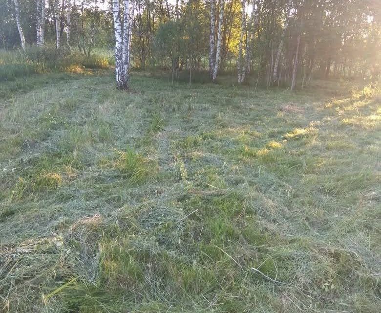 земля городской округ Наро-Фоминский фото 3