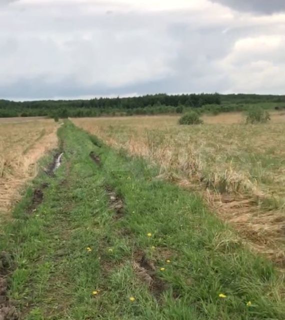 земля городской округ Раменский деревня Агашкино фото 4