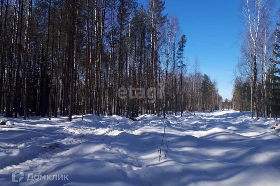 земля р-н Гатчинский фото 3