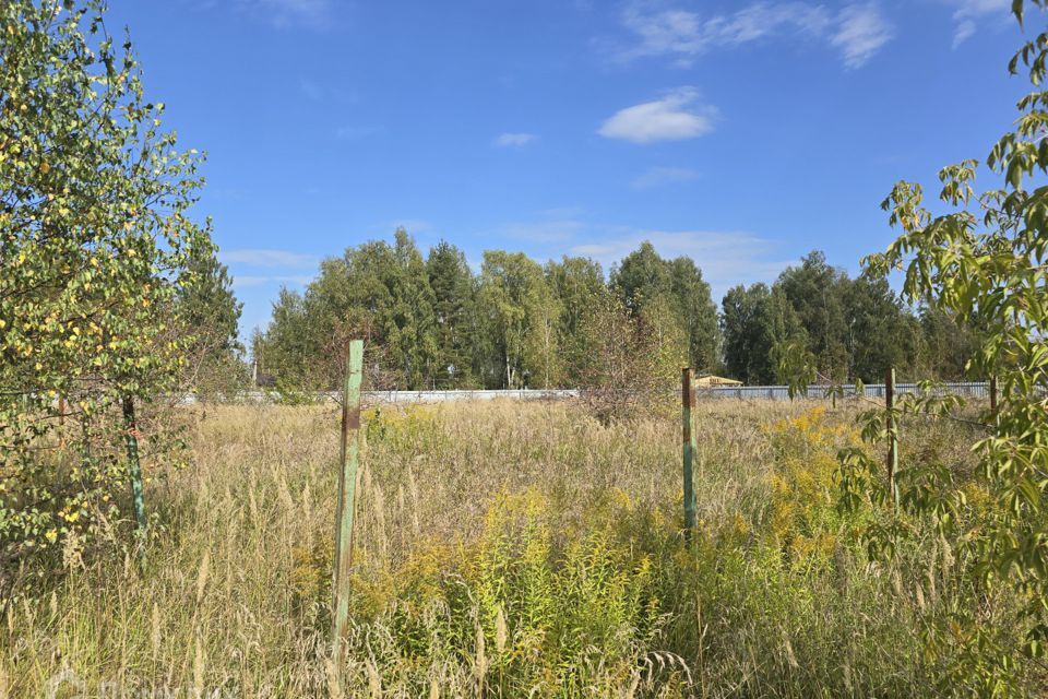 земля городской округ Раменский коттеджный посёлок Гжельский лес фото 3