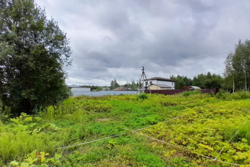 земля городской округ Истра д Адуево днп терДольче Вита 126 фото 3