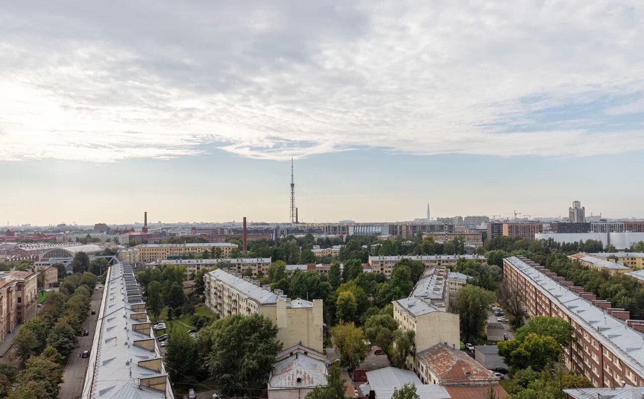 квартира г Санкт-Петербург метро Лесная ул Новолитовская 4 фото 16