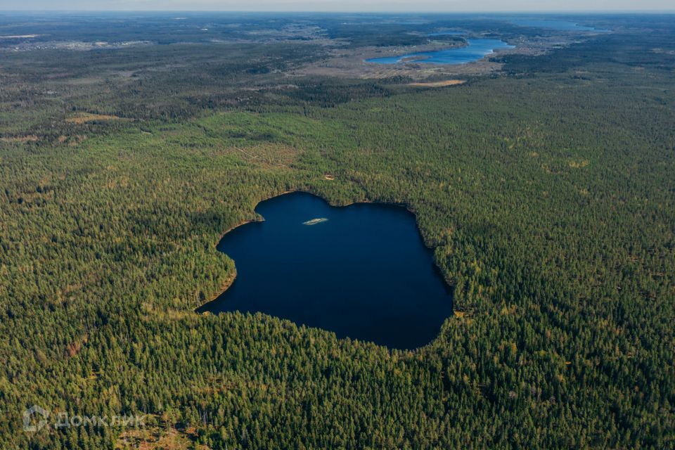 земля р-н Выборгский фото 10