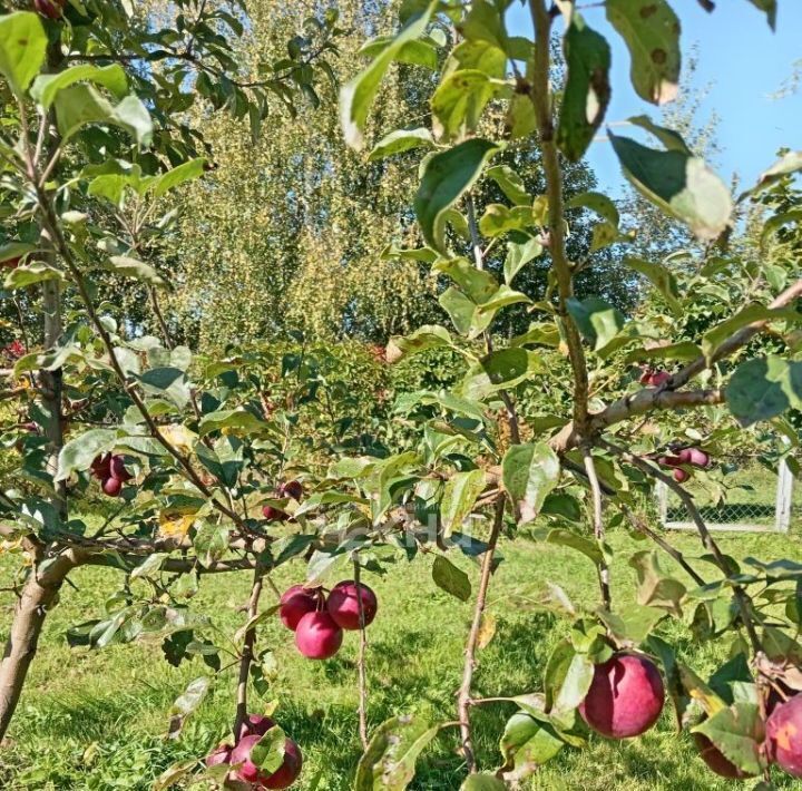 дом р-н Городецкий д. Фаладово, 9А фото 33