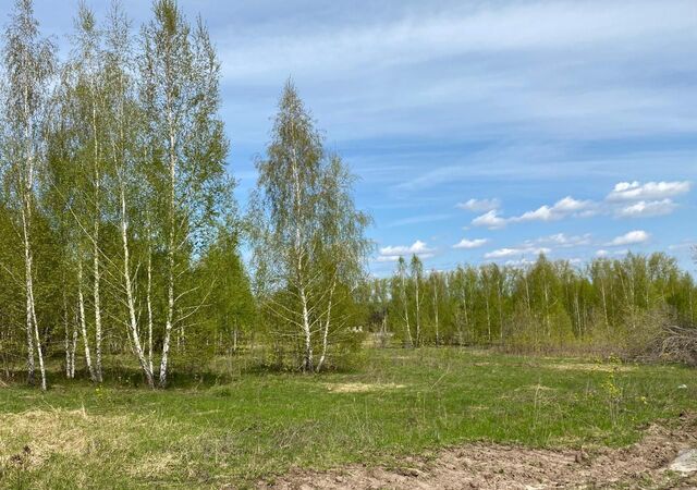 земля ул Циолковского Ижевское сельское поселение фото