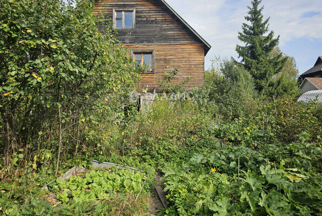 снт Эфир Зеленоград — Крюково, городской округ Химки фото