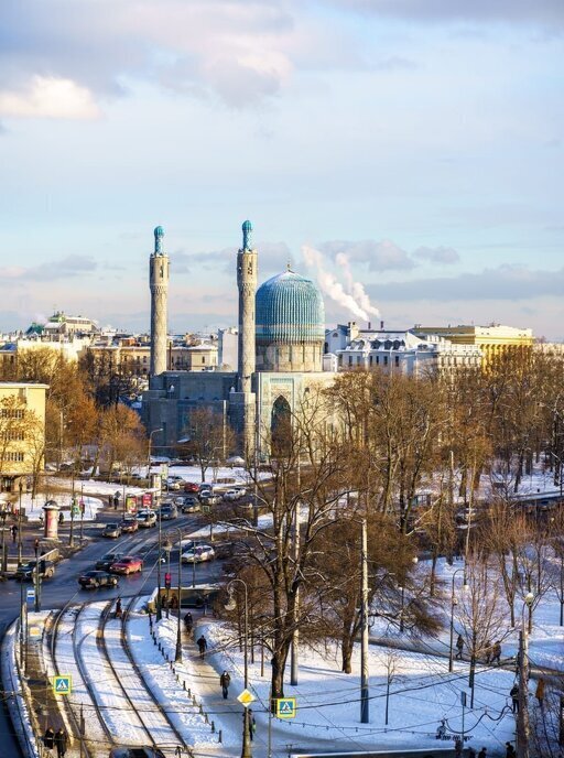 квартира г Санкт-Петербург метро Горьковская пр-кт Кронверкский 23 фото 25