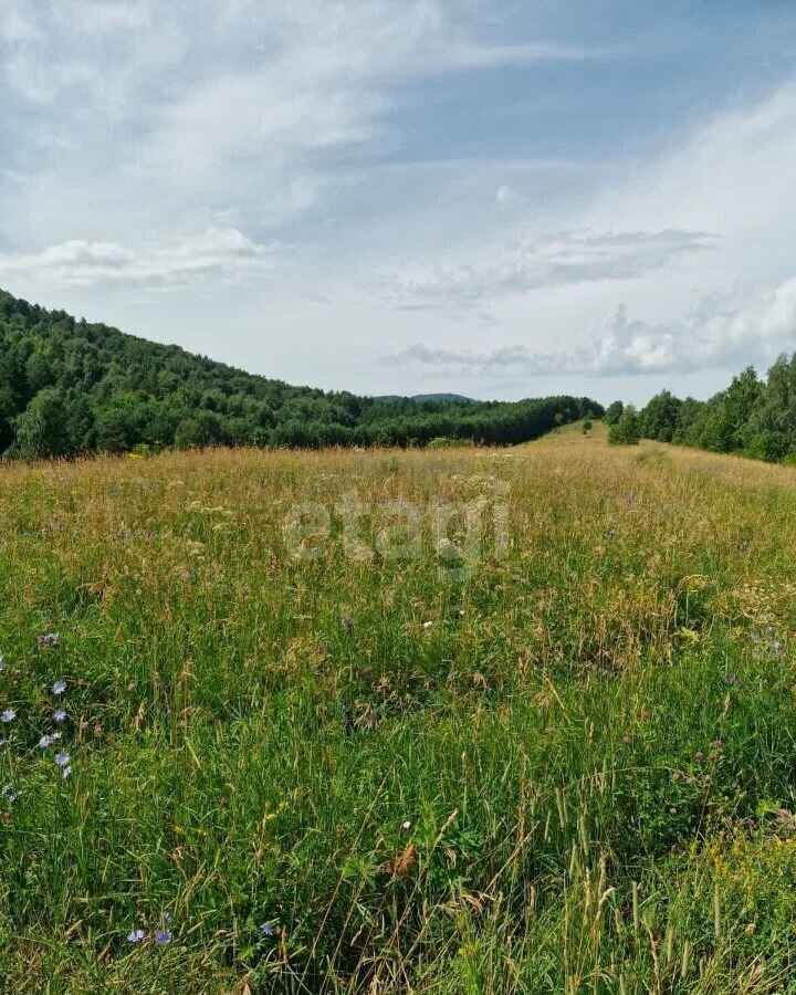 земля р-н Алтайский с Макарьевка Алтайское фото 2