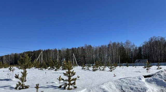 земля с Большебрусянское фото