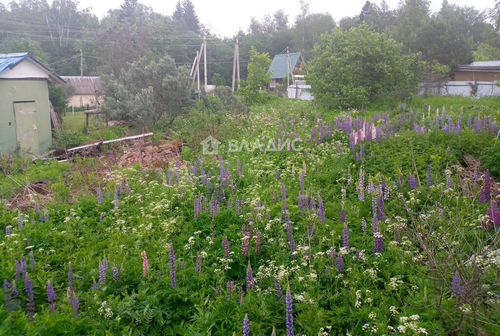 земля городской округ Солнечногорск д Гигирёво снт Культура 7 фото 10