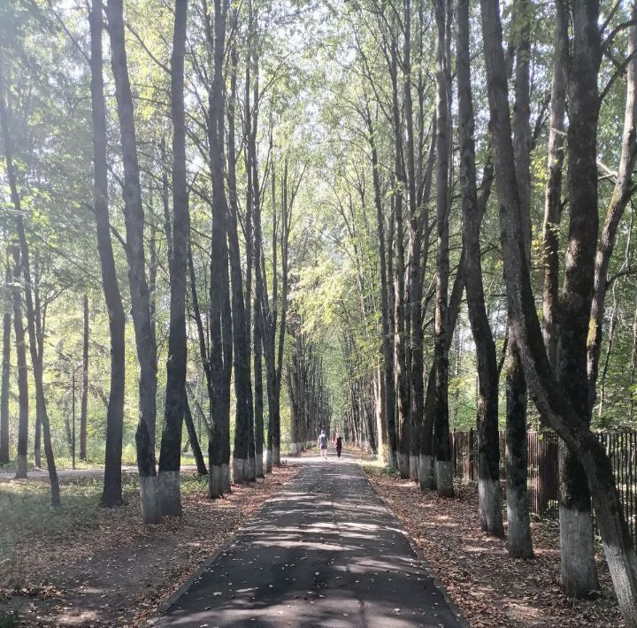 квартира городской округ Красногорск п Архангельское Волоколамская, 20 фото 17