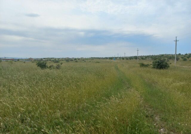 садовое товарищество Дельфин фото