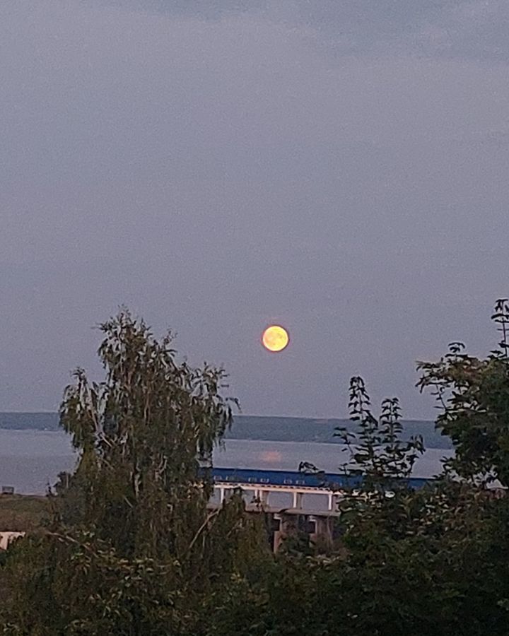 дом р-н Пензенский Засечный сельсовет Пензенский р-н, некоммерческое товарищество Романтик, Виноградная ул, садовое, Засечное фото 16