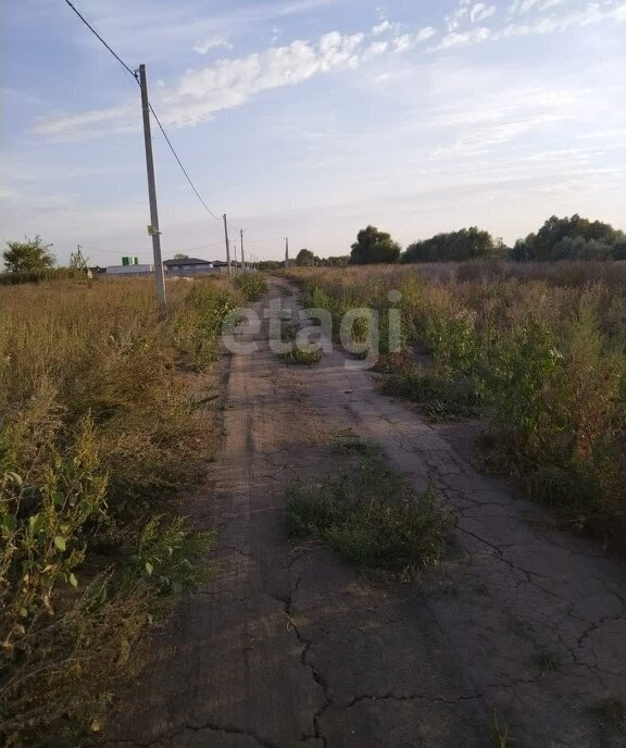 земля р-н Рамонский рп Рамонь ул Центральная фото 4