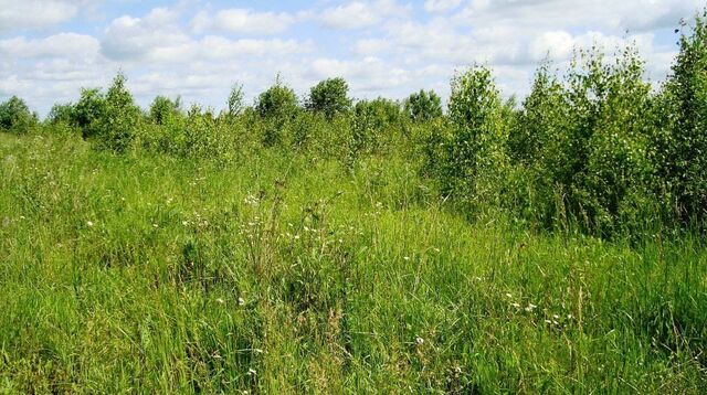 р-н Всеволожский п Янино-1 Дорога жизни, 10676 км, Заневское городское поселение фото