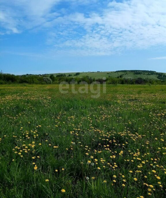 земля р-н Новокузнецкий с Куртуково ул Новая фото 5