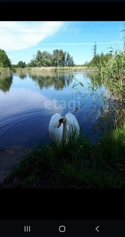 снт тер.Фрегат фото