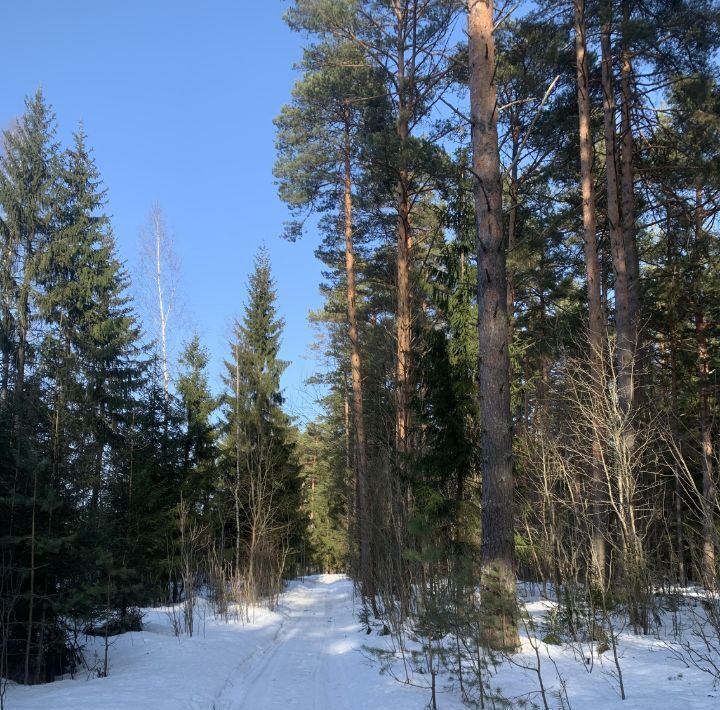 земля городской округ Волоколамский Рижские Дворики 2 кп, 46 фото 16