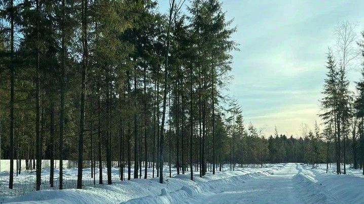 земля городской округ Наро-Фоминский Лесная Аллея кп фото 9