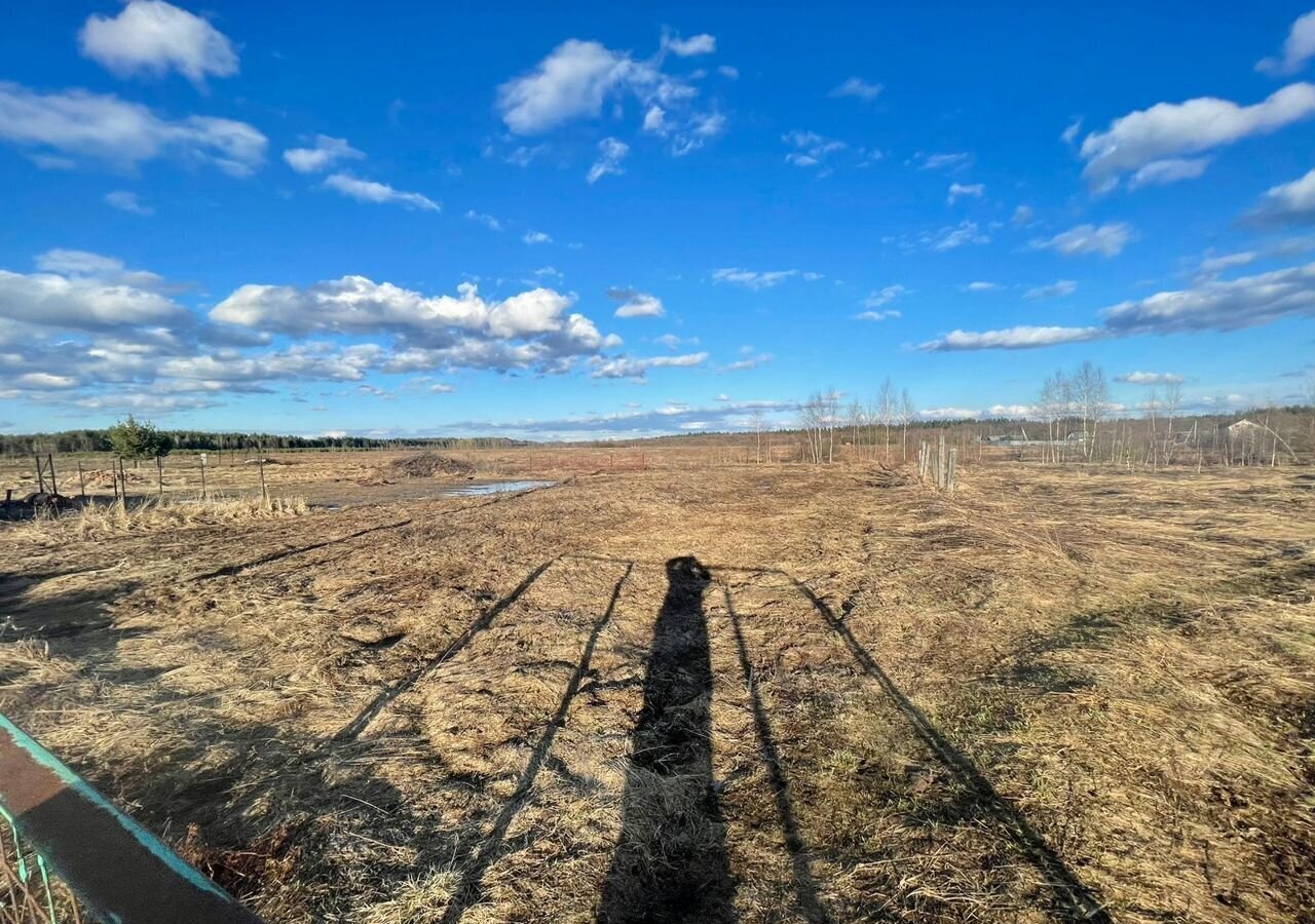 дом городской округ Орехово-Зуевский д Заполицы 87 км, 142, Авсюнино, Егорьевское шоссе фото 21