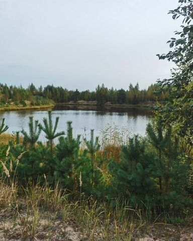 Дорога жизни, 9742 км, Рахьинское городское поселение, коттеджный пос. Константиновка фото