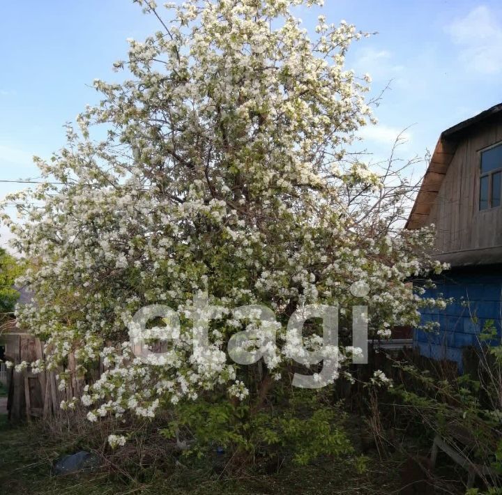 земля г Красноярск р-н Свердловский Шинник СНТ, ул. Нижняя фото 2