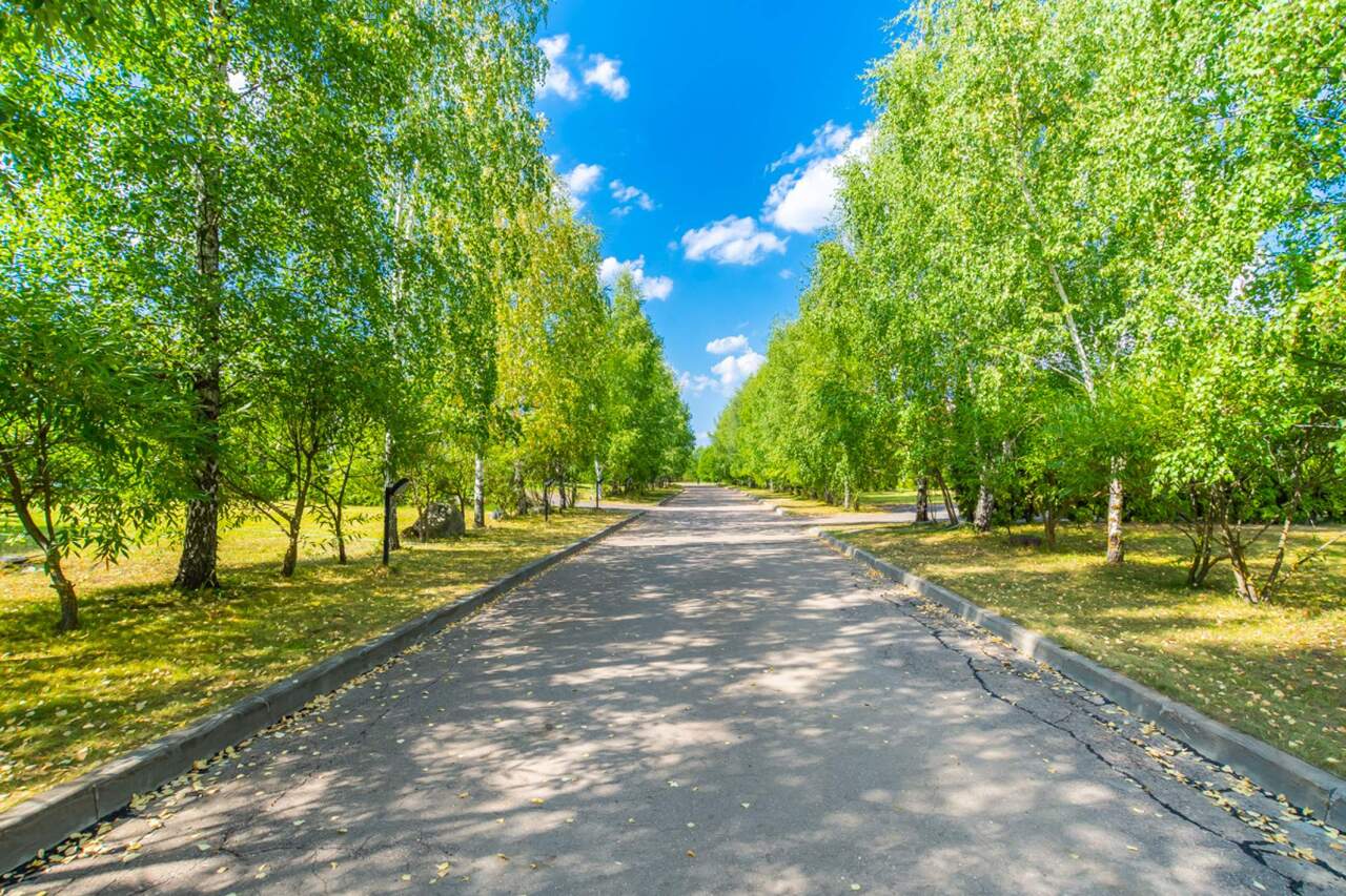 дом городской округ Дмитровский д Спас-Каменка д. Р 6, Дмитровское шоссе фото 9