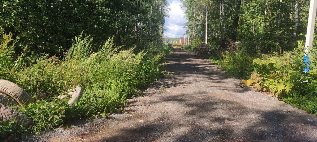 земля городской округ Домодедово д Степыгино коттеджный посёлок Дивный фото 4