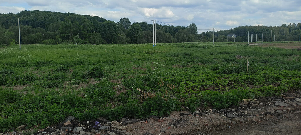 земля городской округ Солнечногорск п Лунёво Подрезково, коттеджный посёлок Шереметьевская усадьба фото 4