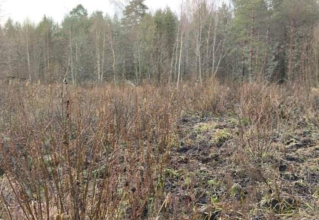 земля р-н Приозерский г Приозерск Трасса Сортавала, 9817 км, Ларионовское сельское поселение фото 3