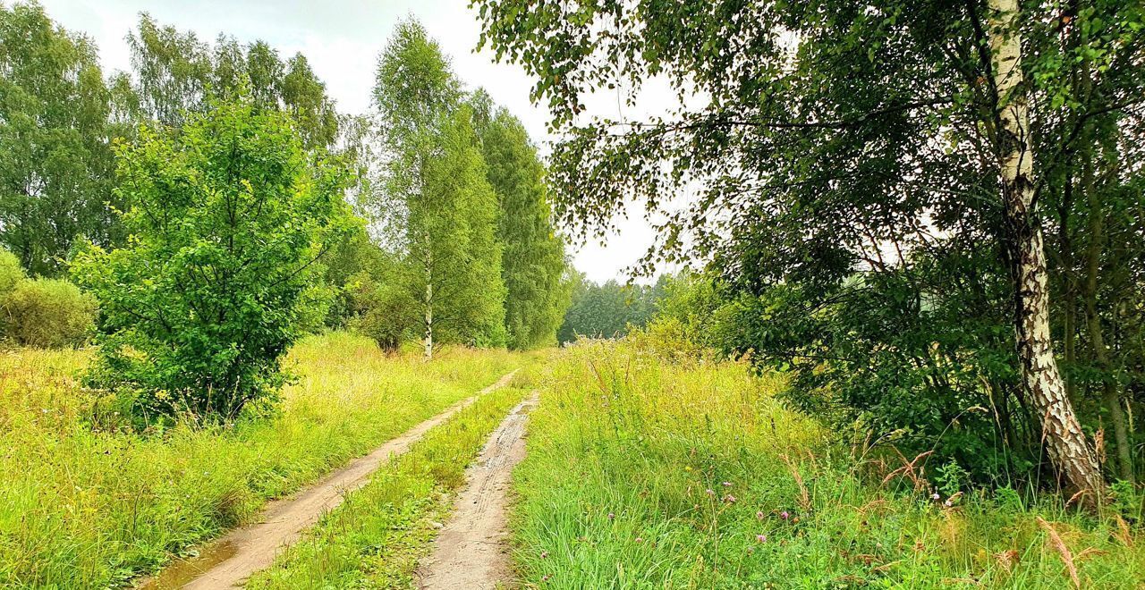 земля городской округ Рузский п Новотеряево 9796 км, Руза, Минское шоссе фото 6