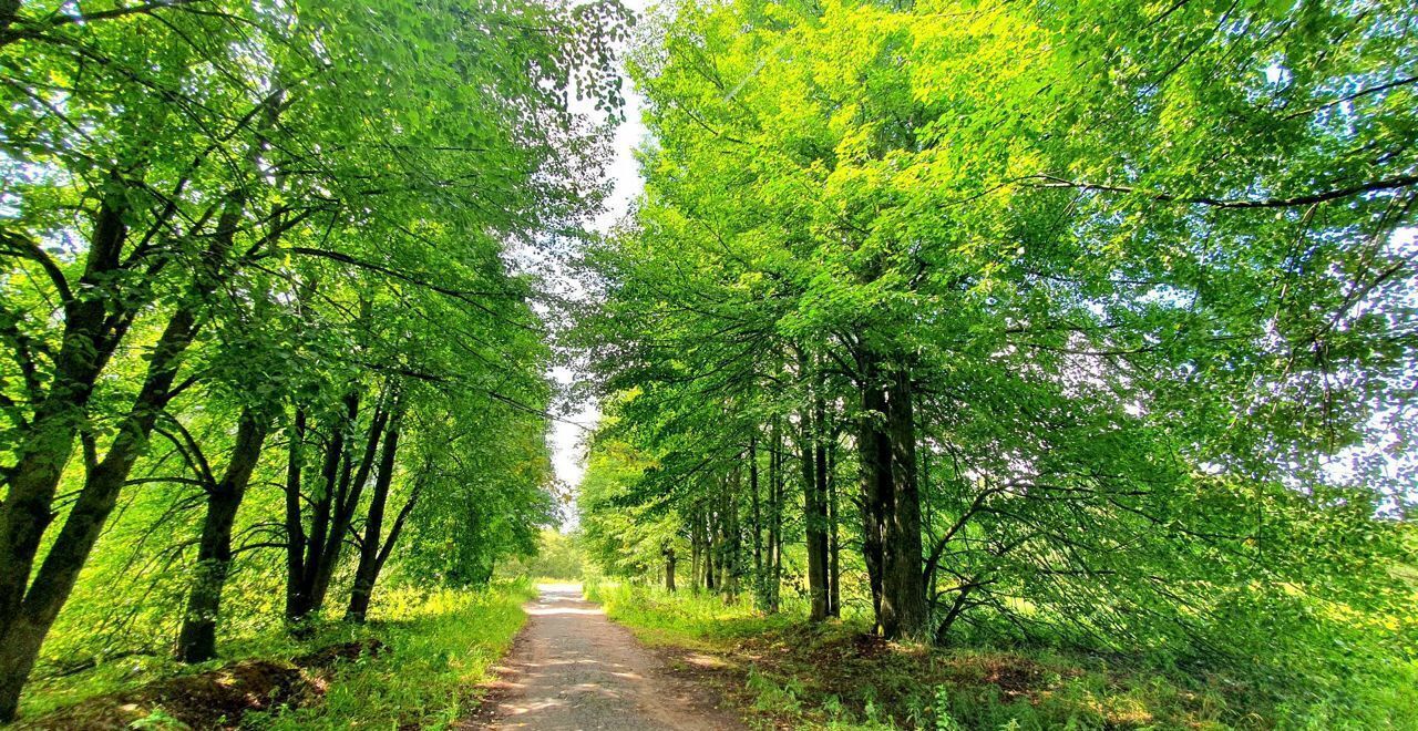 земля городской округ Рузский п Новотеряево 9796 км, Руза, Минское шоссе фото 8