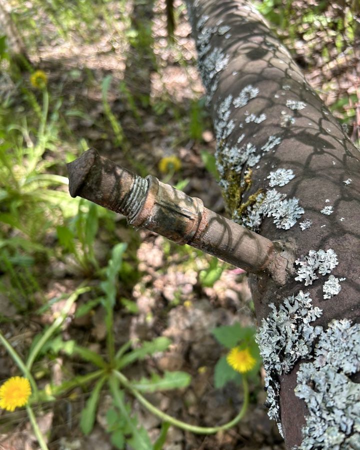 дом городской округ Павловский Посад д Дальняя снт Лесное-2 57 км, Электрогорск, Горьковское шоссе фото 33