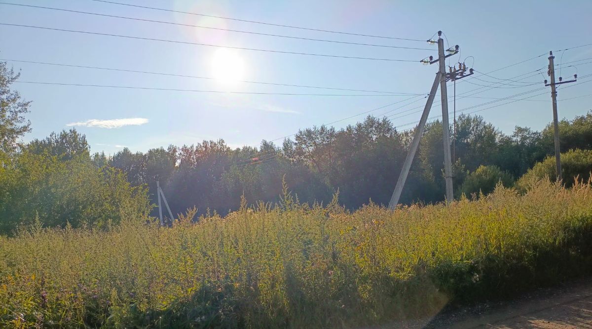 земля городской округ Солнечногорск д Шелепаново Зеленоград — Крюково фото 12