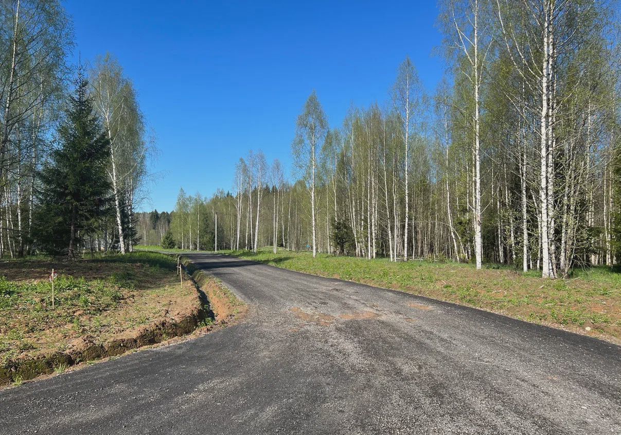 земля городской округ Сергиево-Посадский г Краснозаводск 9795 км, коттеджный пос. Яркое, 117, Ярославское шоссе фото 2