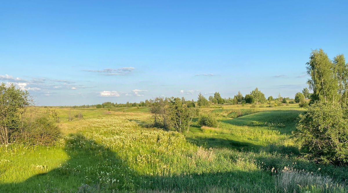 земля Переславль-Залесский городской округ, д. Насакино фото 4